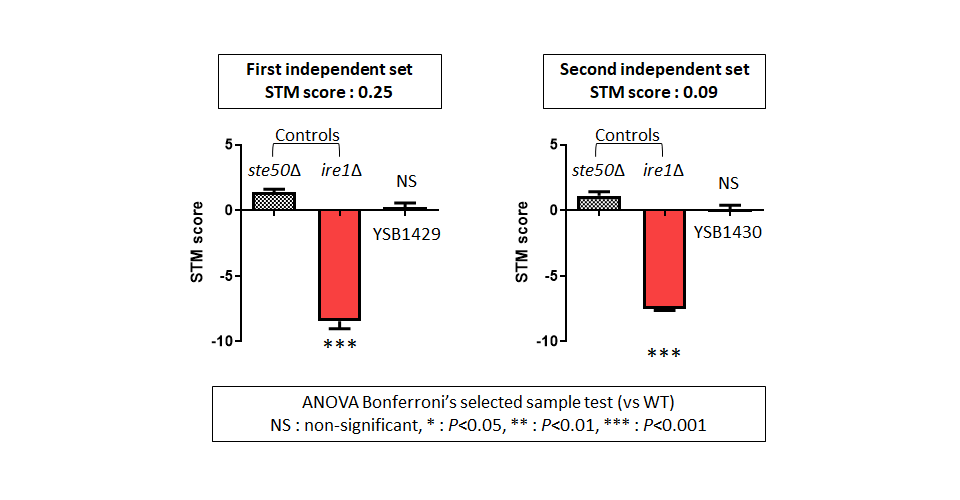 STM murine host model data