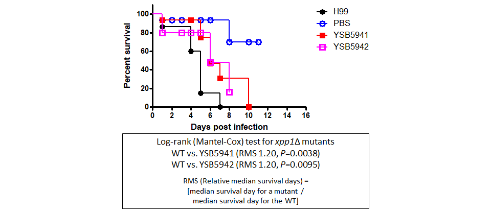 Galleria mellonella virulence data