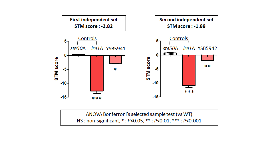 STM murine host model data