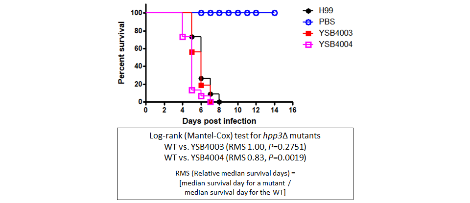 Galleria mellonella virulence data