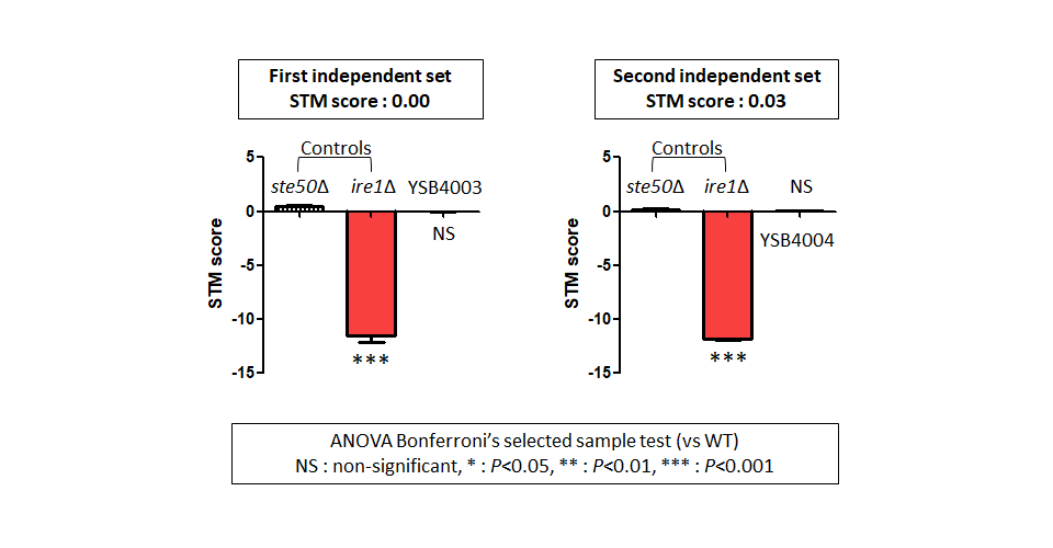 STM murine host model data