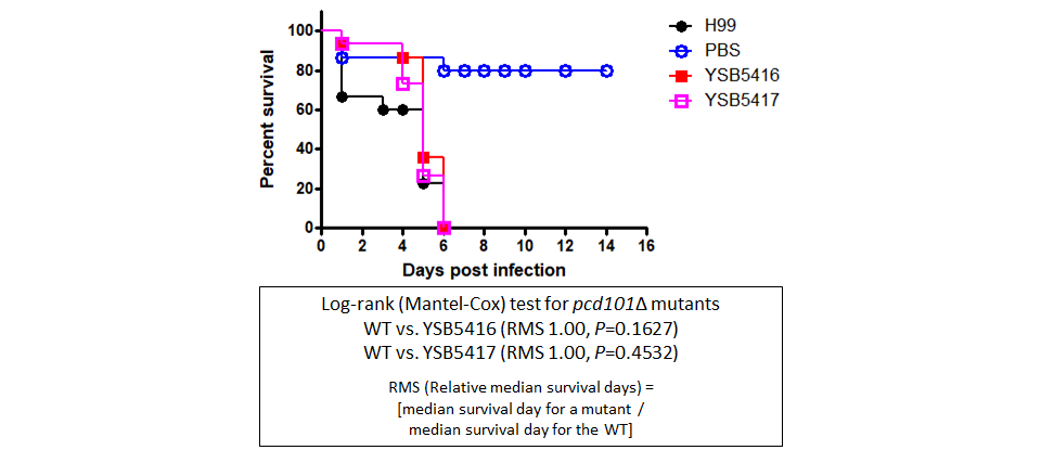 Galleria mellonella virulence data