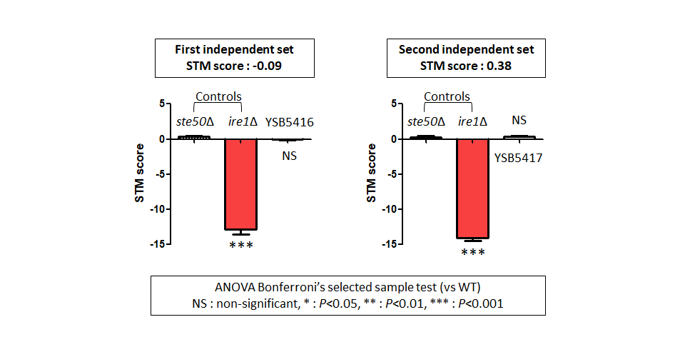 STM murine host model data