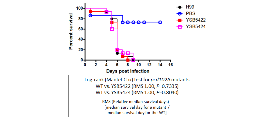 Galleria mellonella virulence data