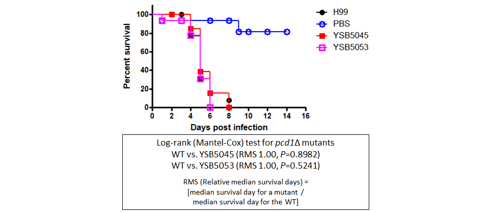 Galleria mellonella virulence data