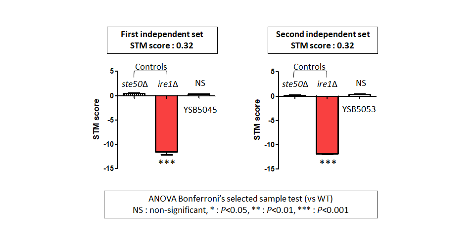 STM murine host model data