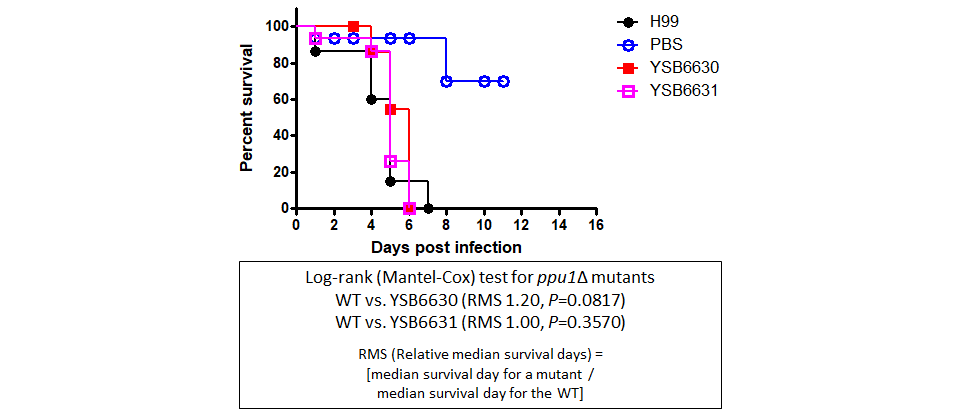 Galleria mellonella virulence data