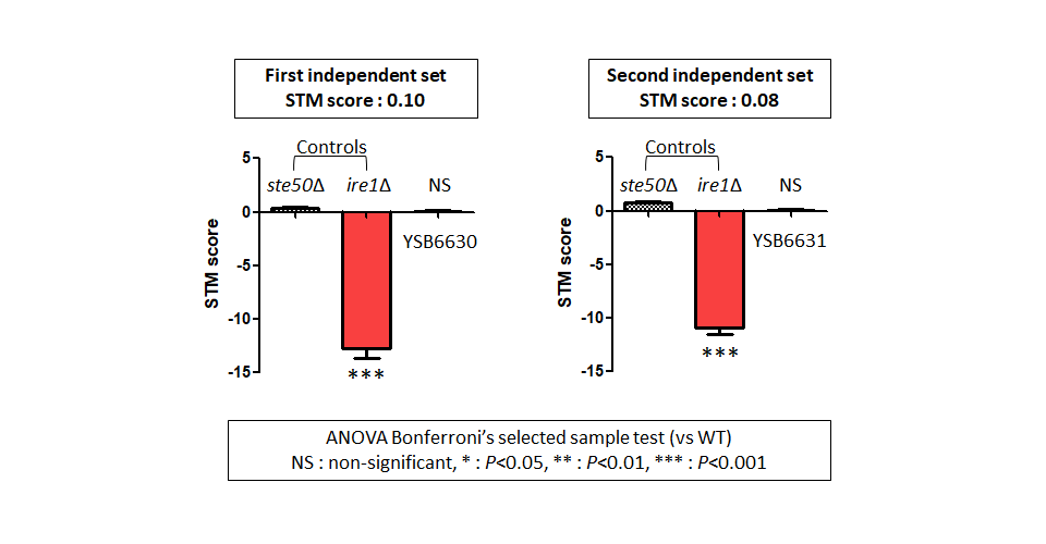 STM murine host model data