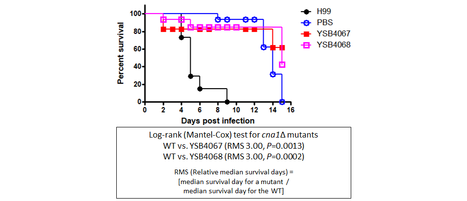 Galleria mellonella virulence data