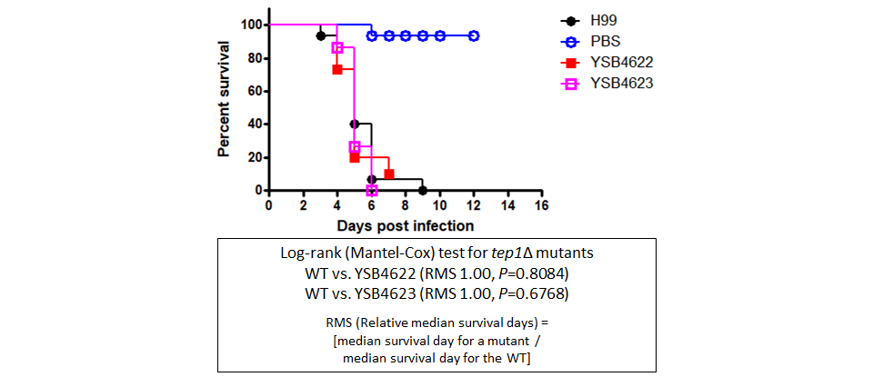 Galleria mellonella virulence data