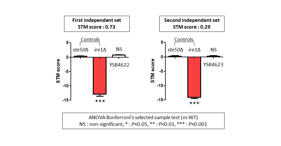 STM murine host model data