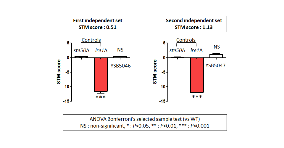 STM murine host model data