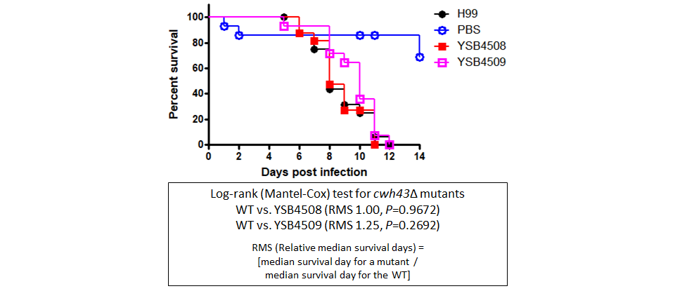 Galleria mellonella virulence data