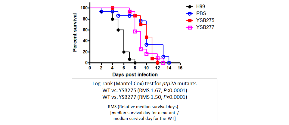 Galleria mellonella virulence data