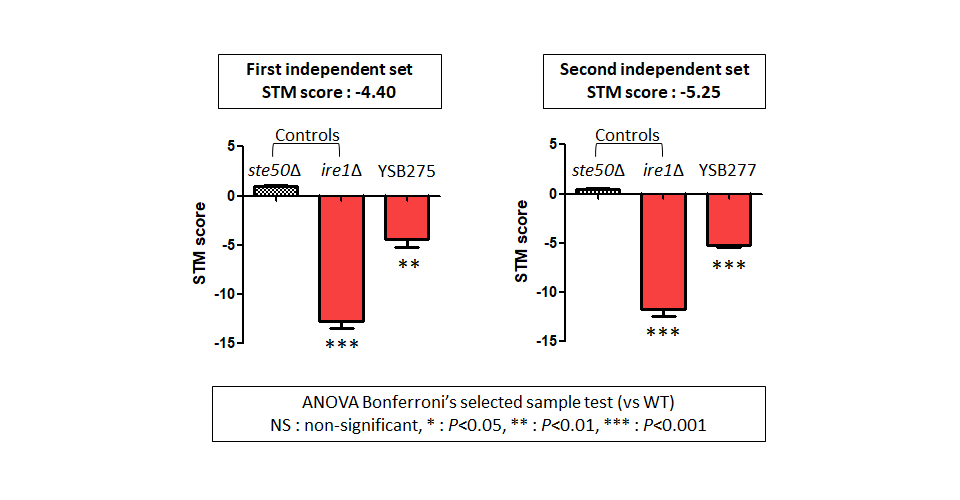 STM murine host model data