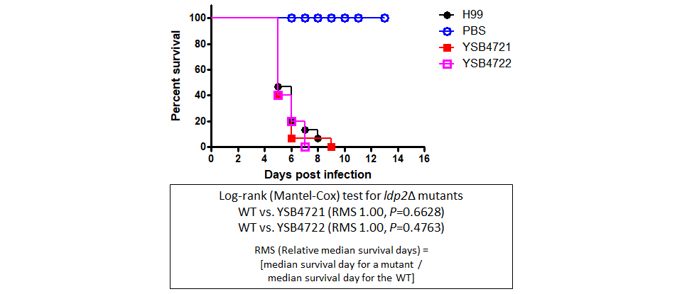 Galleria mellonella virulence data