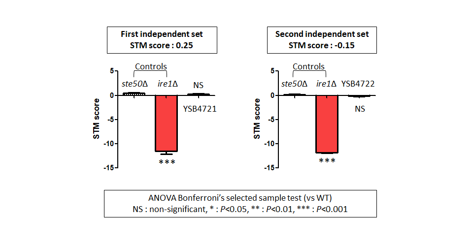 STM murine host model data