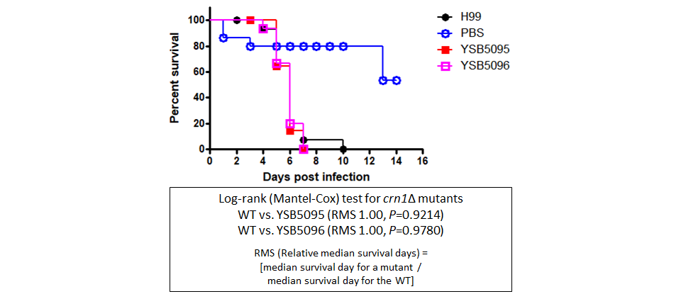 Galleria mellonella virulence data