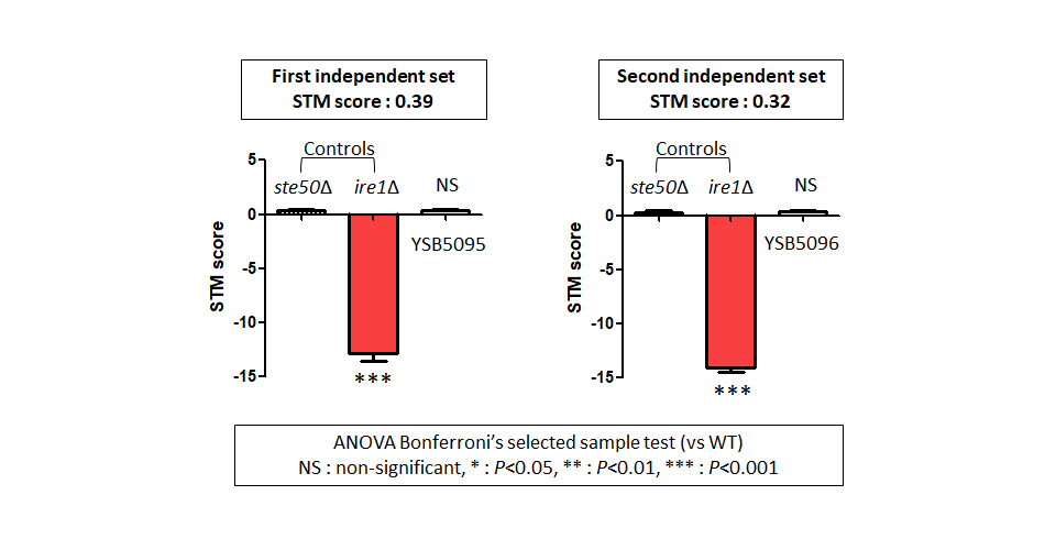STM murine host model data