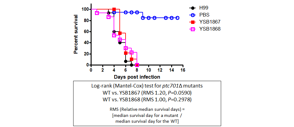Galleria mellonella virulence data