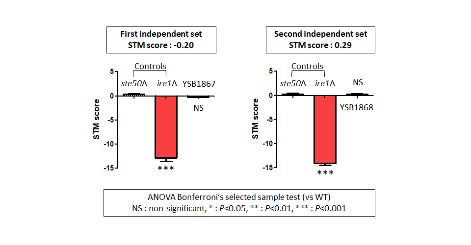 STM murine host model data