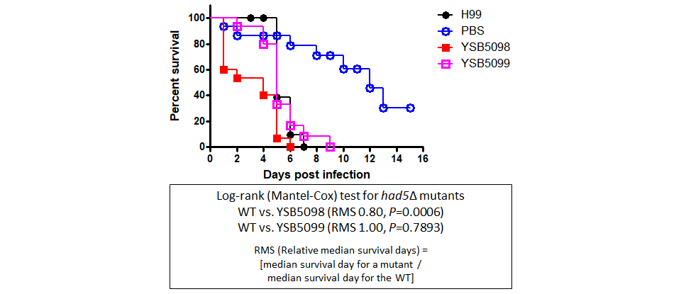 Galleria mellonella virulence data