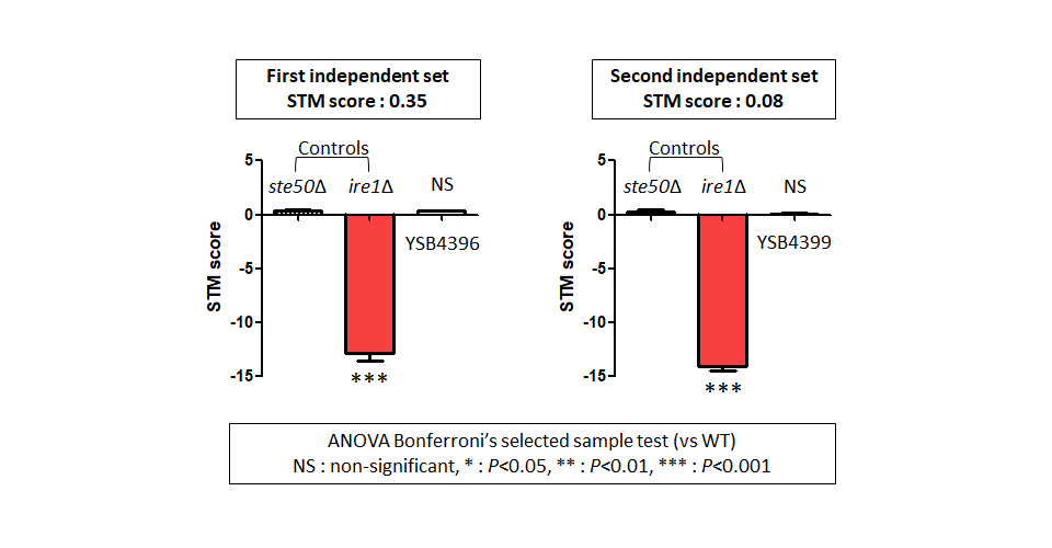 STM murine host model data