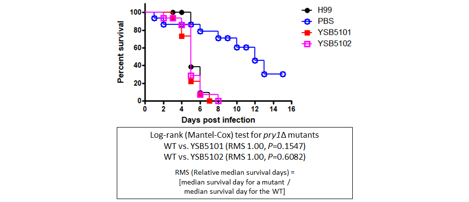 Galleria mellonella virulence data