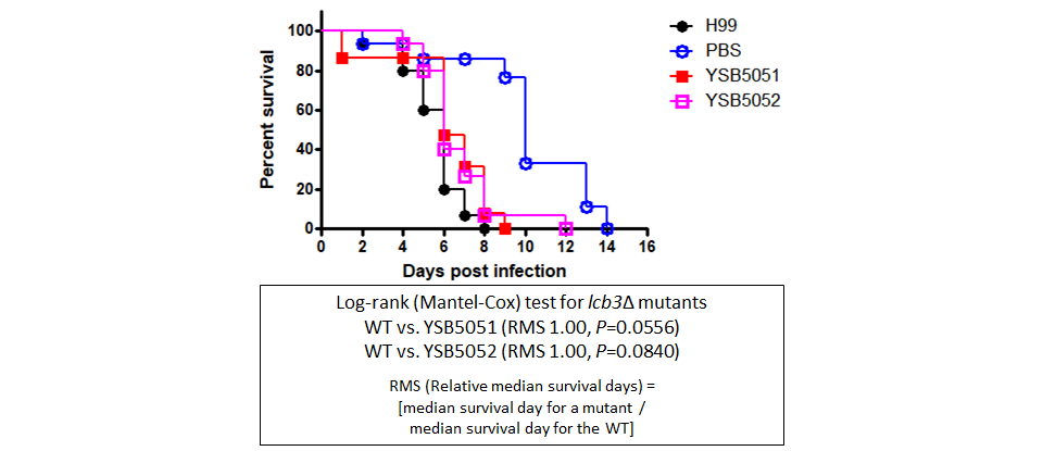 Galleria mellonella virulence data