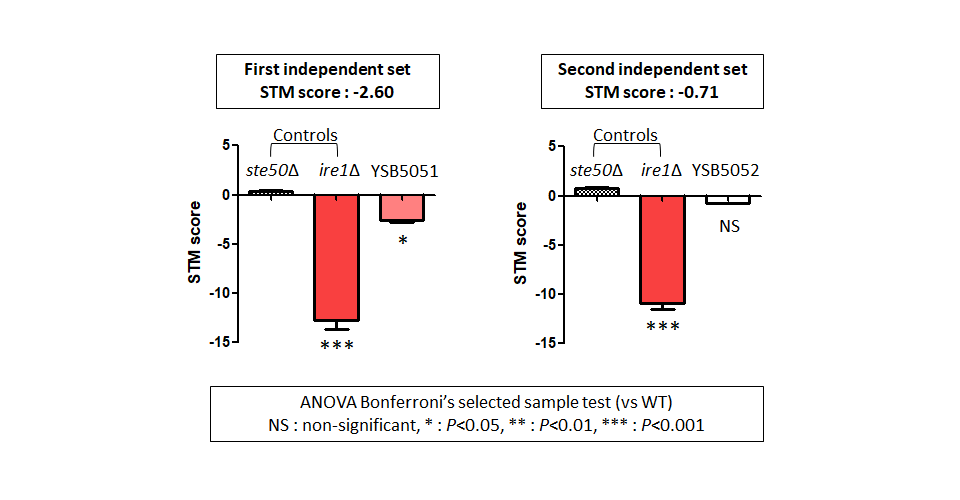 STM murine host model data