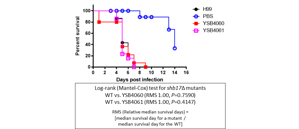 Galleria mellonella virulence data