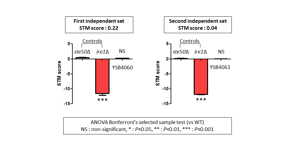 STM murine host model data