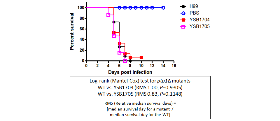 Galleria mellonella virulence data