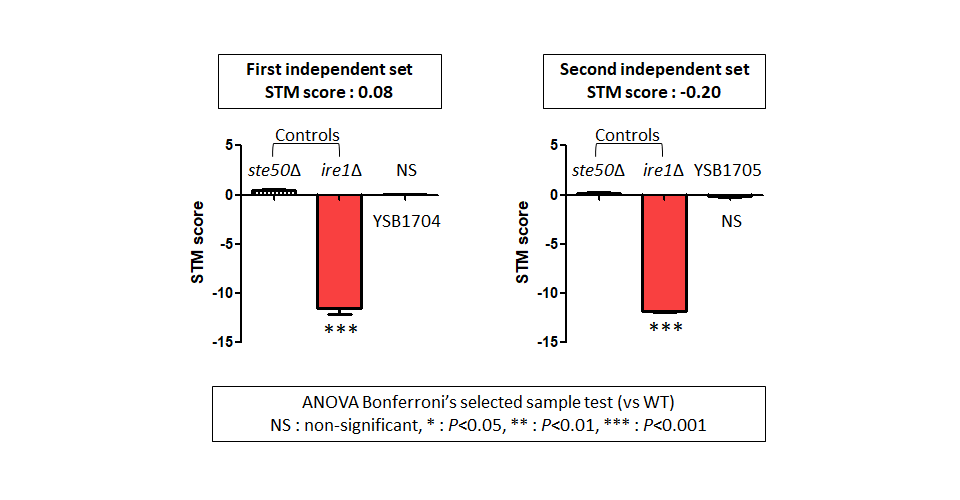 STM murine host model data