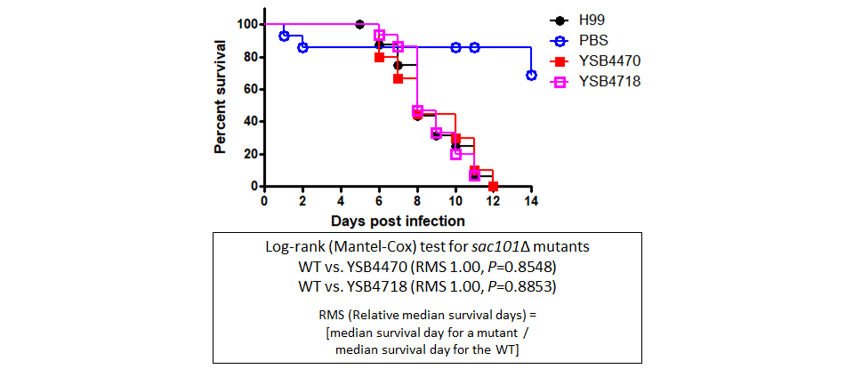 Galleria mellonella virulence data