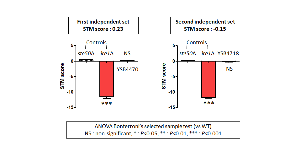 STM murine host model data