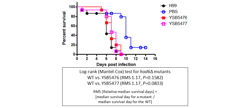 Galleria mellonella virulence data