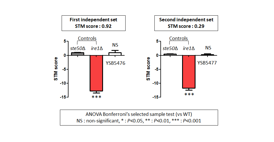 STM murine host model data