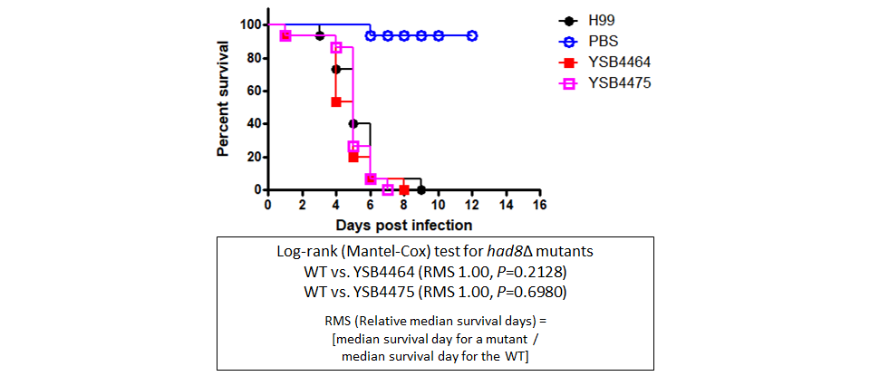 Galleria mellonella virulence data