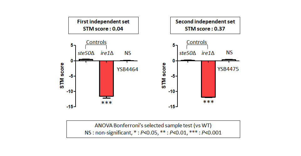 STM murine host model data