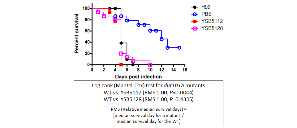 Galleria mellonella virulence data