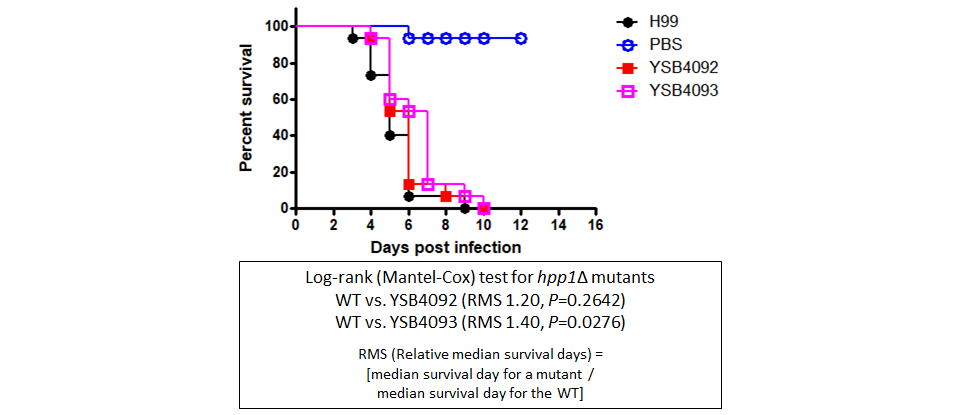 Galleria mellonella virulence data