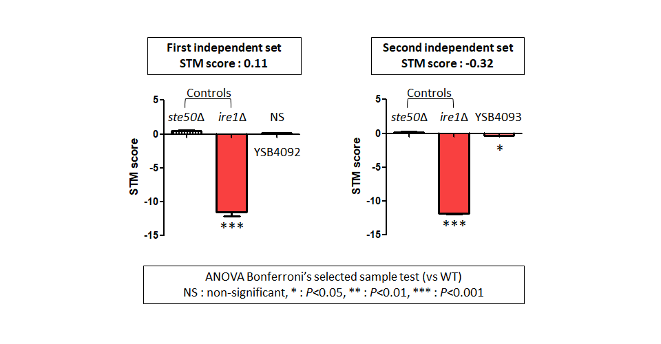 STM murine host model data