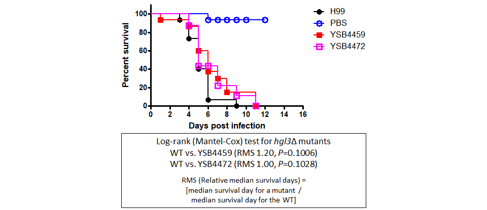 Galleria mellonella virulence data