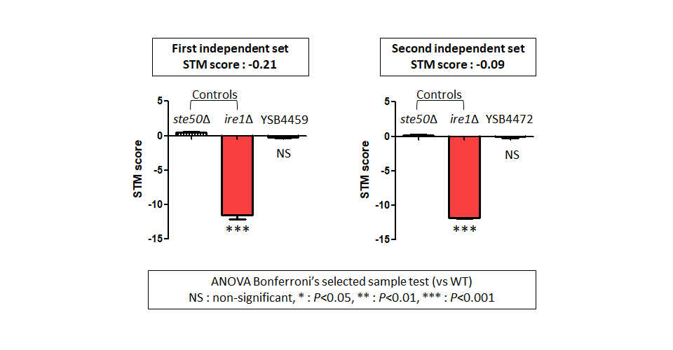 STM murine host model data