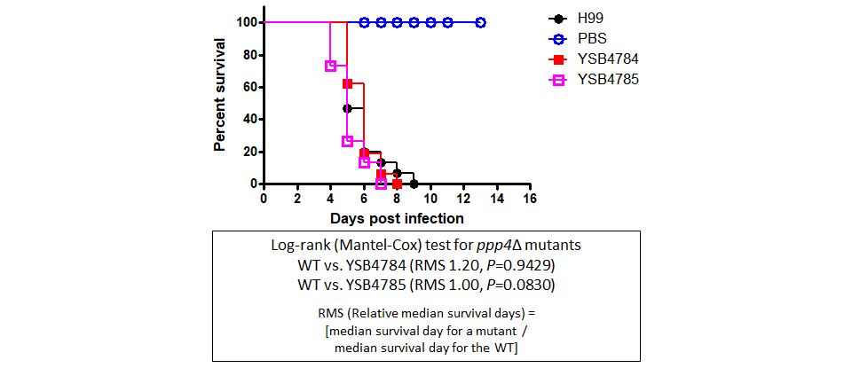 Galleria mellonella virulence data
