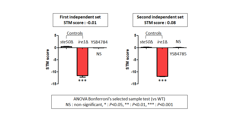 STM murine host model data