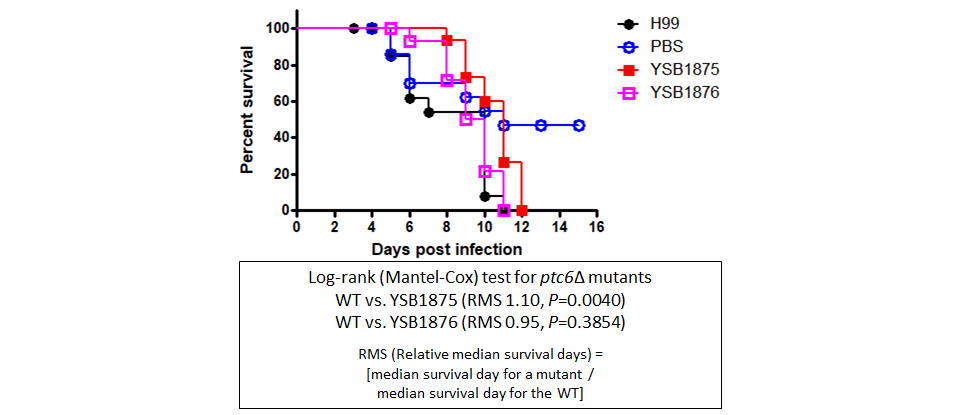 Galleria mellonella virulence data
