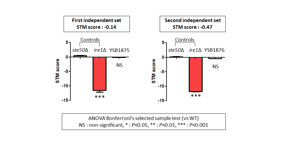 STM murine host model data