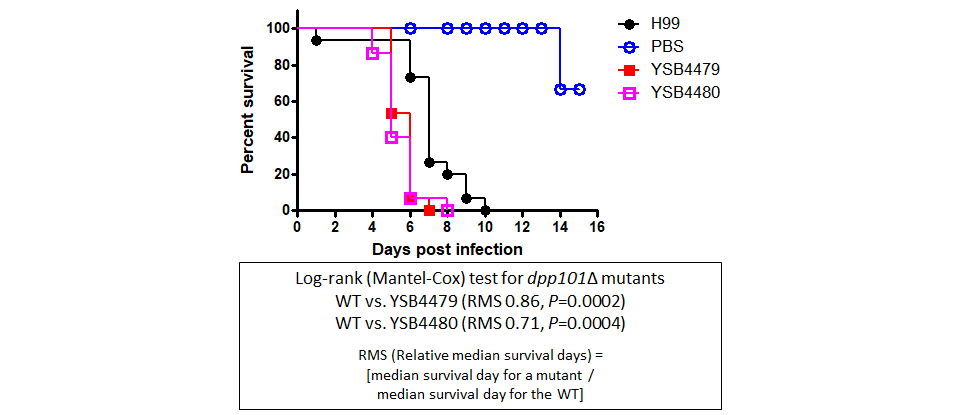 Galleria mellonella virulence data